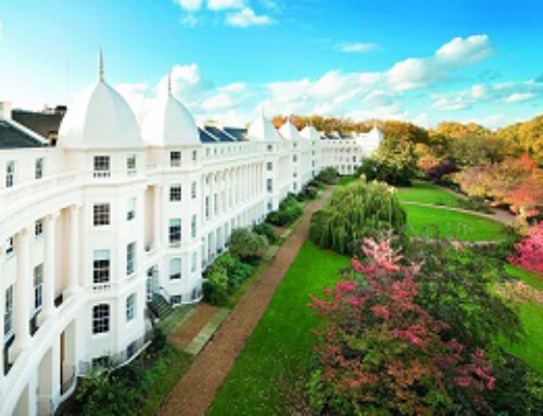 Interview with London Business School EMBA Student
